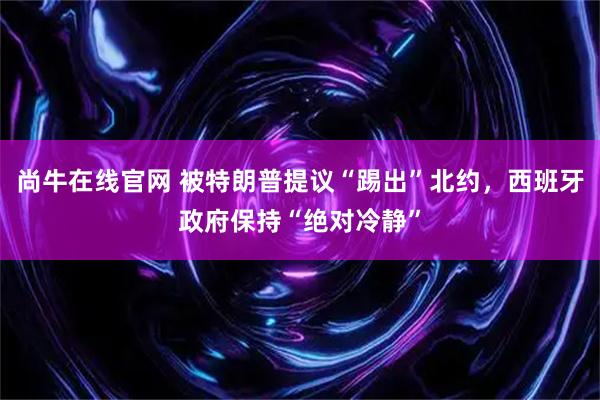 尚牛在线官网 被特朗普提议“踢出”北约，西班牙政府保持“绝对冷静”