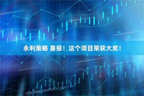永利策略 喜报！这个项目荣获大奖！