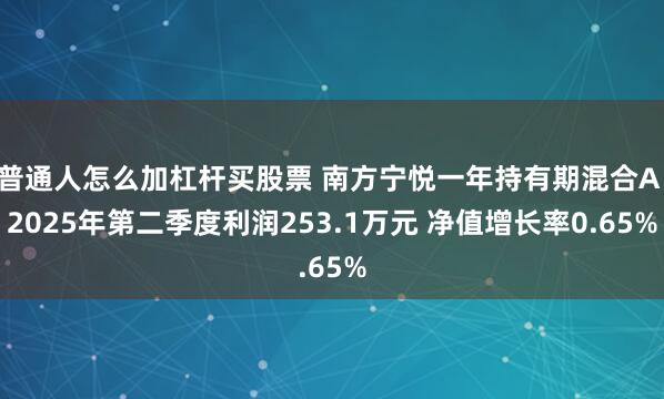 普通人怎么加杠杆买股票 南方宁悦一年持有期混合A：2025年第二季度利润253.1万元 净值增长率0.65%