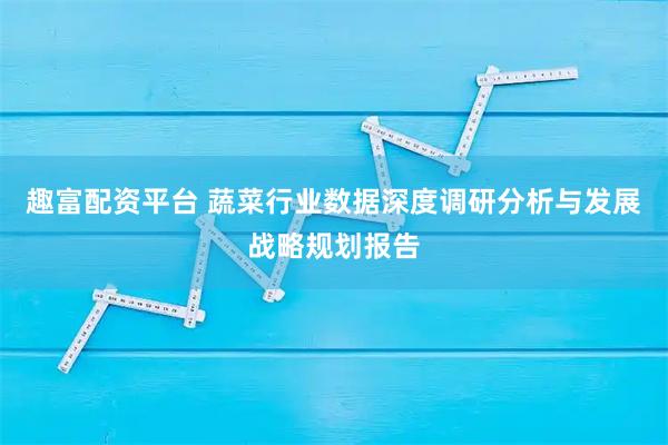 趣富配资平台 蔬菜行业数据深度调研分析与发展战略规划报告